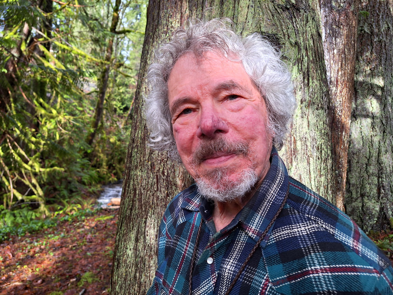 Headshot of Peter Ludwin